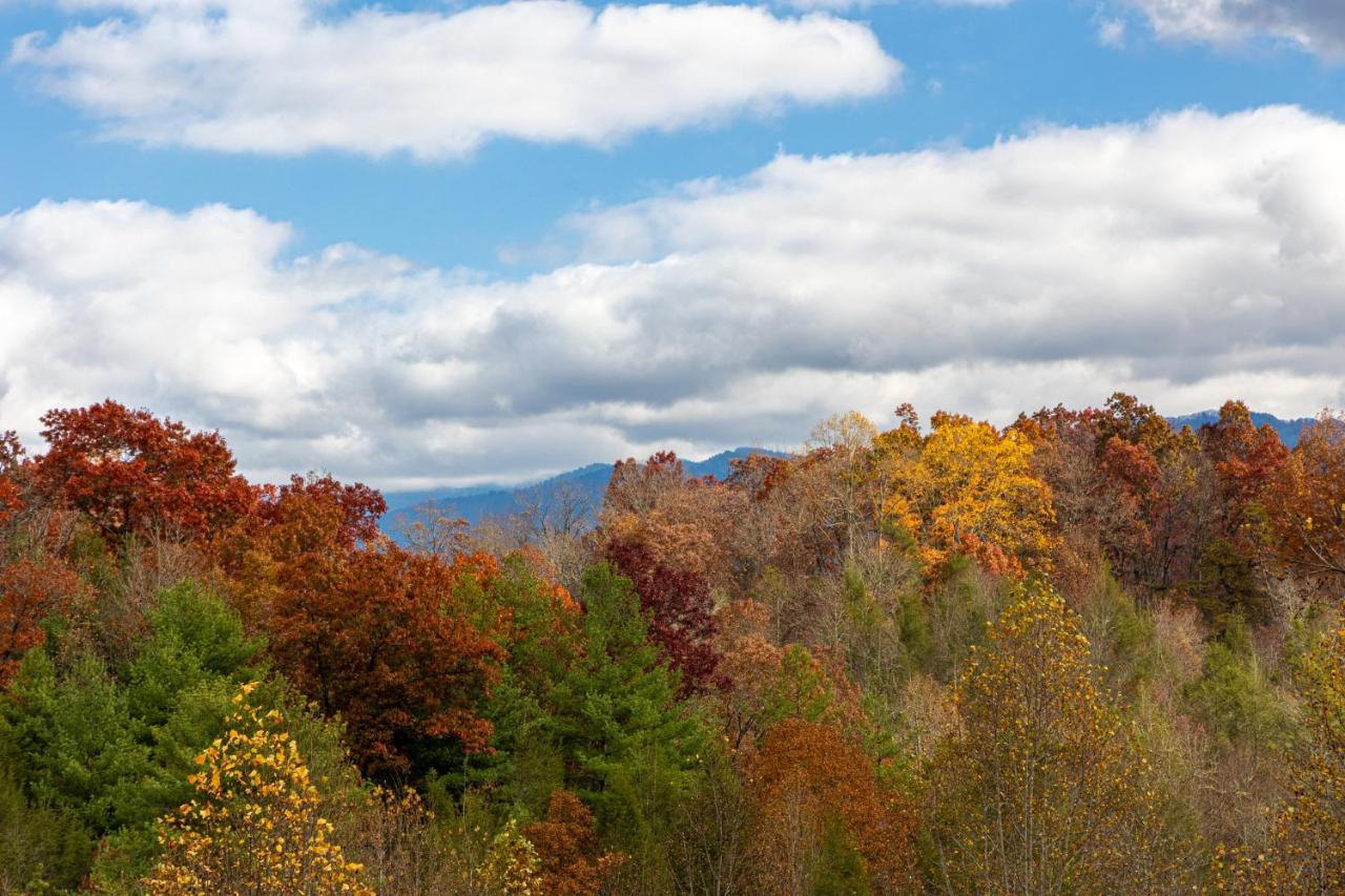 Ridge View Lodge Nature And Mountain View - Hot Tub - Firepit - Yard - Games Gatlinburg Zewnętrze zdjęcie